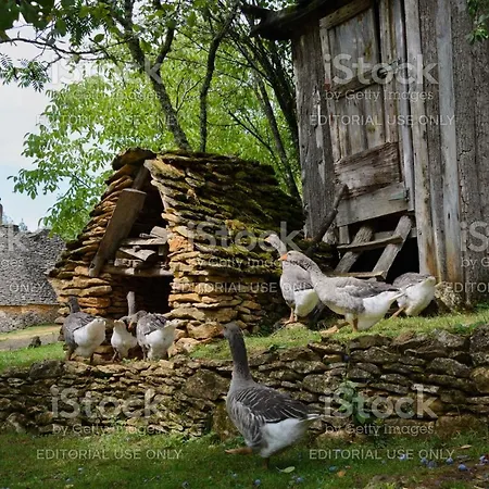 Fontaine D'amour Apartamento *