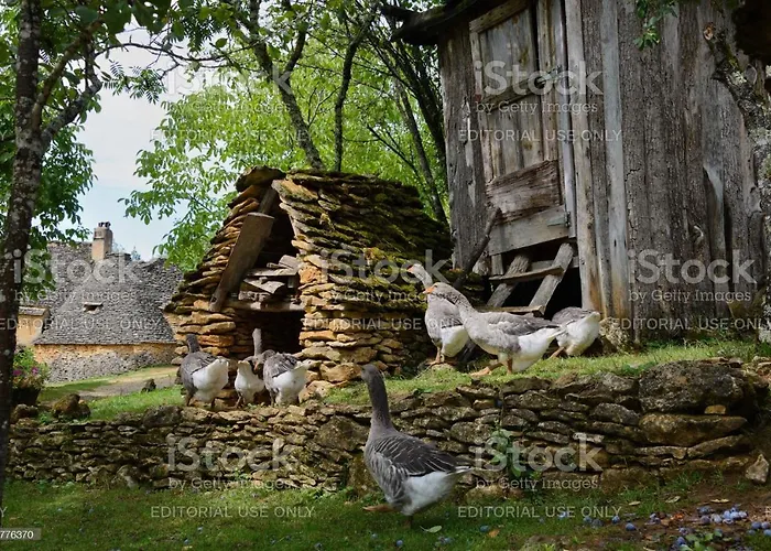 Fontaine D'amour Apartman *